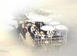 terrasse_f